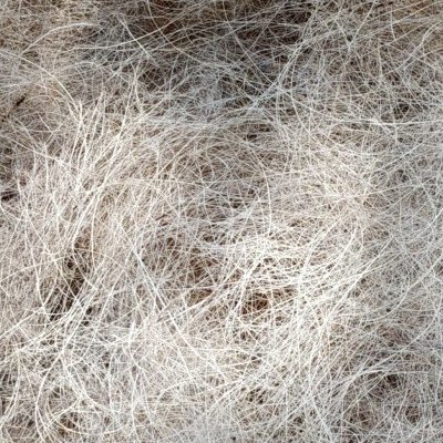 Processed Coconut Fiber